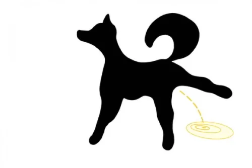 PET Urinary Support от Now Foods подобрява процесите на уриниране и подпомага функциите на жлъчката на кучетата и котките