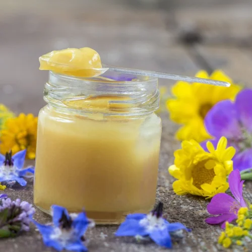 Сред най-добрите супер храни на челните места се нарежда и Royal Jelly - Пчелното млечице