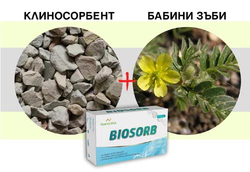 BIOSORB 450 мг 30 капсули от Nueva Vita на топ цена има силно изразени сорбционни и йоннообмени свойства, осигурява силна детоксикация на организма
