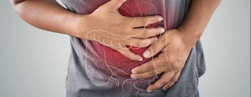 Digest + таблетки на Physalis комбинира в състава си висококачествени екстракти от биологични растения, включително артишок и мента, които умело поддържат храносмилането и по този начин допринасят за благополучието след обилно хранене.
