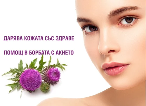 Silybum Marianum 100 ml на супер цена от Physalis подобрява състоянието на кожата