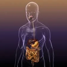 Cilantro Heavy Metal Detox на супер цена е билкова формула, която помага за изчистването на организма от тежки метали