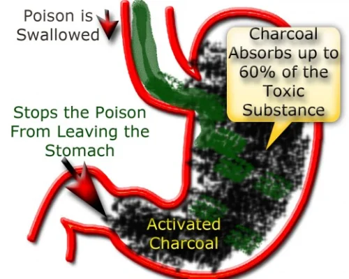 Activated Charcoal 60 капсули от Prozis Foods на топ цена е много ефикасен за прочистване на стомашния тракт.