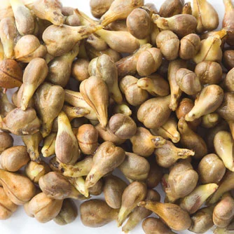Grape Seed Extract от Prozis Foods подпомага укрепването на имунната система и предотвратява образуването на тромбове