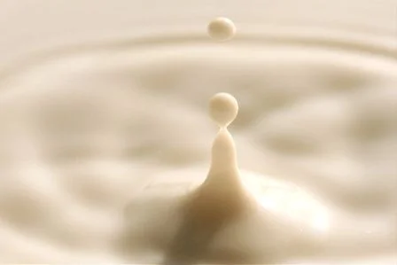 Colostrum от Prozis укрепва имунитета и подобрява метаболизма.