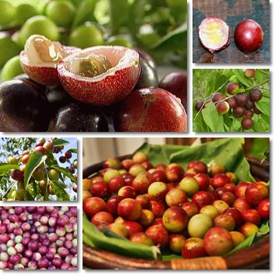 Camu Camu от Sanct Bernhard помага при безсъние, използва се при грип и настинки