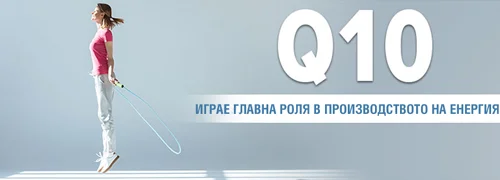 Coenin Q10 150 капсули на топ цена от Sanct Bernhard играе главна роля в производството на енергия.