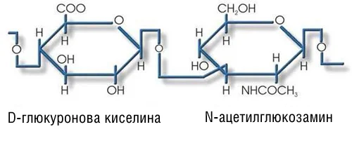 Hyaluronic Acid 300 mg 120 capsules на топ цена от Sanct Bernhard е субстанция, която човешкото тяло самосинтезира за предпазване и поддържане на свои тъкани