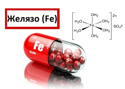 Iron + Vitamin C 180 капсули на уникална цена от Sanct Bernhard е ключов химичен елемент за здравето