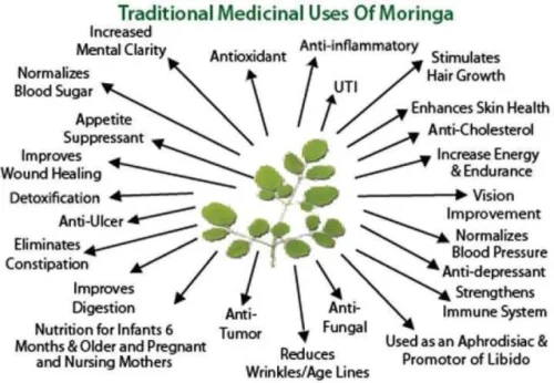Moringa от Sanct Bernhard се използва при възпаления на стомашно-чревния тракт