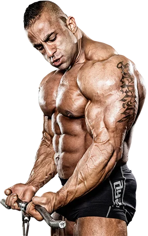 Scitec Amino 5600 се предлага на страхотна цена.
