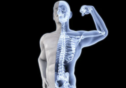 Хелатираният Калций (Chelated Calcium) на топ цена е важен за изграждането на костите.