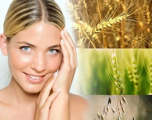 Wheat Germ Oil е хранителна добавка, която заздравява косата, кожата и ноктите.