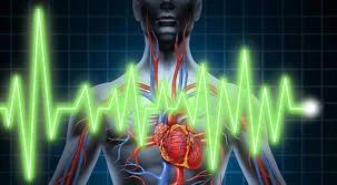 L-Lysine от Capsules Source Naturals подобрява здравето на кръвоносните съдове и повишава тяхната еластичност