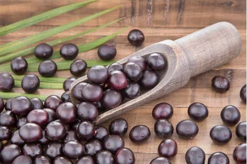 Acai Berry 500 мг 120 капсули на супер цена от Swanson повишава антиоксидантната защита на организма