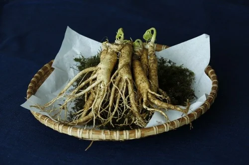 Dual Ginseng Plus 60 капсули от Swanson на супер цена намалява умствения и физическия стрес.