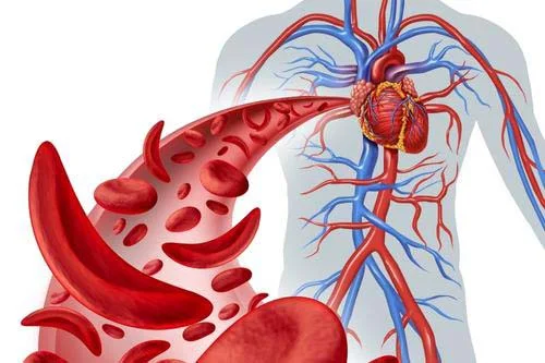 Смартхит Ferrum 30 капсули Желязо с хит цена от Valentis поддържа правилното функциониране на кръвните клетки
