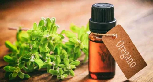 Масло от риган течно на Webber Naturals стимулира имунната система