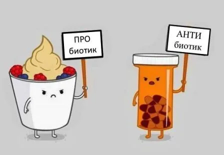 Пробиотик 50 млрд. активни пробиотици на Webber Naturalsсъдържа 10 щама пробиотици, изключително важни за нормалното развитие на чревната флора и цялостното поддържане доброто здраве на организма