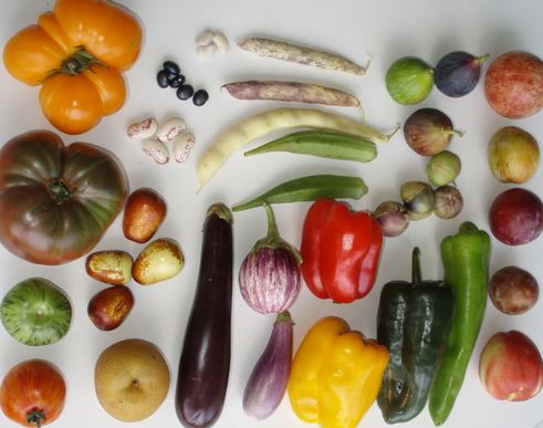 Сезонните плодове и зеленчуци са дар за организма. 