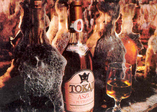 Най-древният сорт бяло вино е Токай.