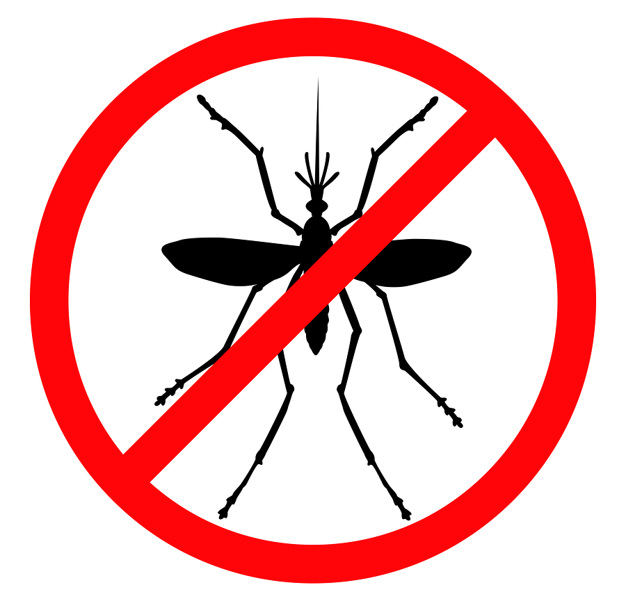 Моминска вратига прогонва мухите и комарите