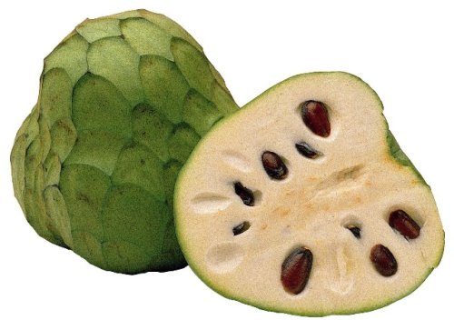 Черимоя е позната още като златна перуанска ябълка и се отличава от останалите тропически плодове с уникалния си вкус, прекрасен аромат и атрактивен външен вид.