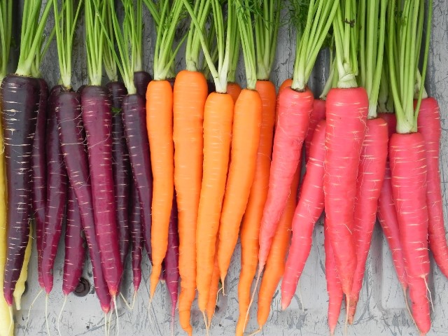 ​Хората първо са отглеждали моркови с медицинска цел за различни заболявания, а не за храна.  