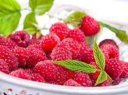 Raspberry ketone на топ цена потискат апетита и регулират кръвното