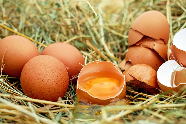 Egg White Protein 510 гр с топ цена от AllNutrition е подходящ за изграждане на по-големи и силни мускули.