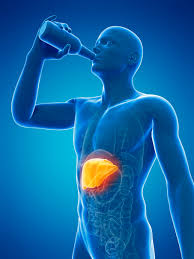 Фито Детокс на BioTona намалява вредите от алкохола и подпомага функциите на черния дроб
