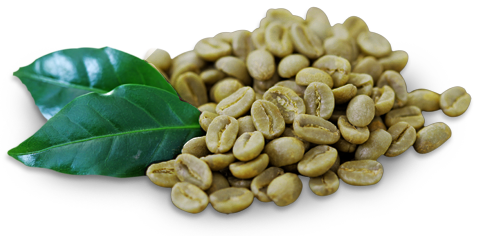Biovea Зелено кафе със Светол е продукт на страхотна цена, който ви помага да изгорите излишните мазнини и да помогнете на метаболизма си. 