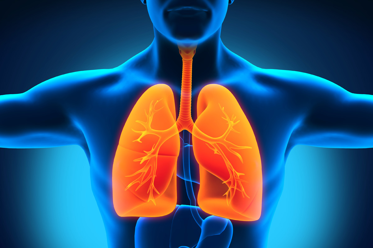 Best NAC капсули подобрява функцията на дихателната система и втечнява бронхиалния секрет