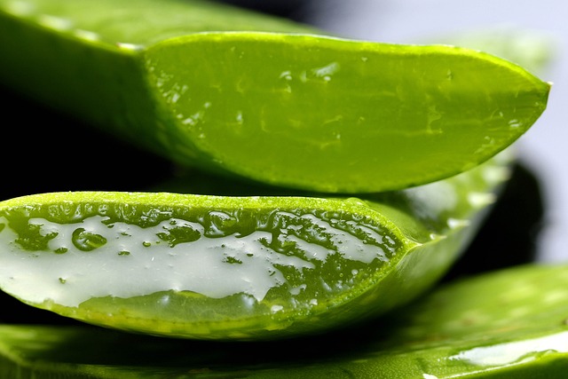 Aloe Vera Leaf Juice 500 мл на ниска цена от EkaMedica пречиства организма от излишните токсини.