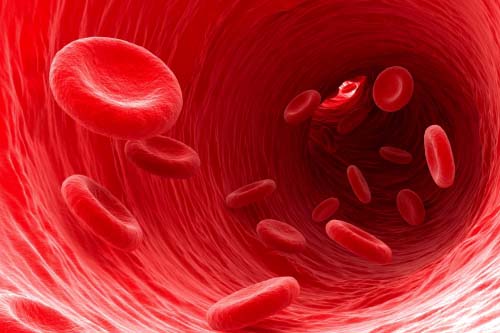 Vitamin Code Raw Iron 30 веге капсули с топ цена от Garden of Life помага за нормалното образуване на хемоглобин и червени кръвни телца