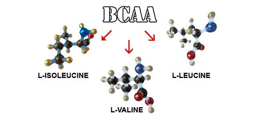 BCAA 2:1:1 ORANGE 200/400 g от HS Labs на топ цена е висококачествен източник на аминокиселини с разклонена верига