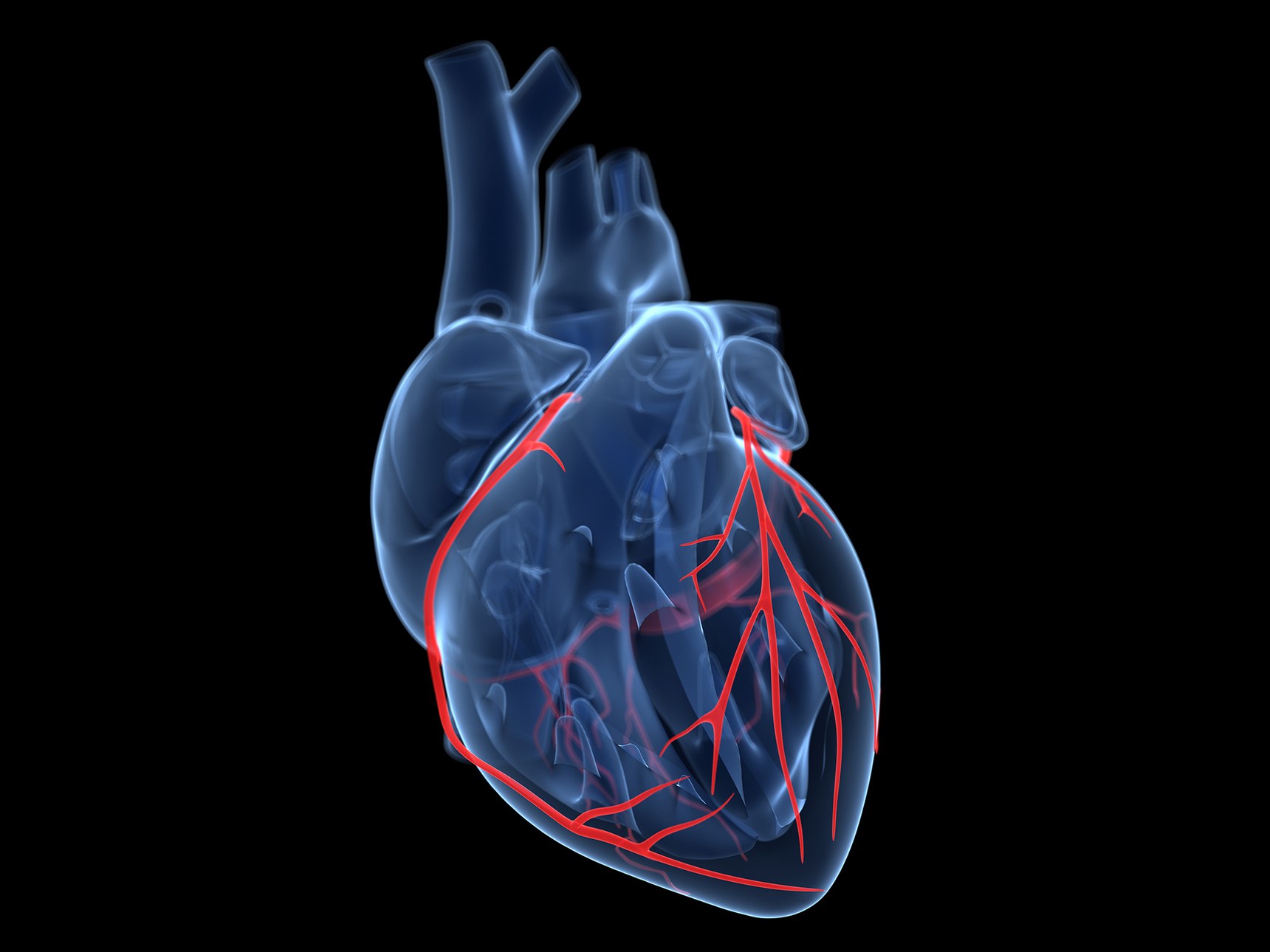 Bromelain на страхотна цена се грижи за здравето на сърцето и предпазва от формирането на тромби