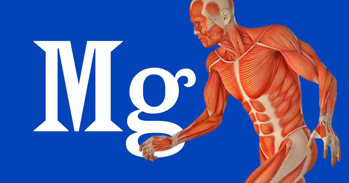 МагниФлекс (Магнезий + B6) 60 таблетки от Natrol подпомага състоянието на мускулите и елиминира мускулните крампи и умората.