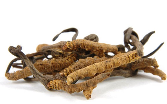 Cordyceps на топ цена помага при анемия, подсилва имунитета и подобрява кръвообращението