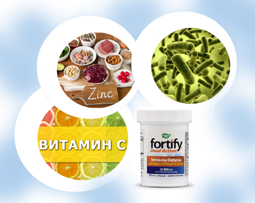 Fortify™Dual Action Имунна защита 30 капсули от Nature`s Way на уникална цена е комбинацията от витамин С, цинк и пробиотици, поддържаща имунната защита