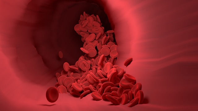 Ultimate Iron 90 гел-капсули на ниска цена от Nature's Way поддържа силната имунна система като предпазва от анемия. 