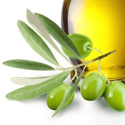 Отдавна се знае за полезните свойства на маслините, за това и не бива да пренебрегваме екстрактът от маслинови листа на супер цена от Now Foods.