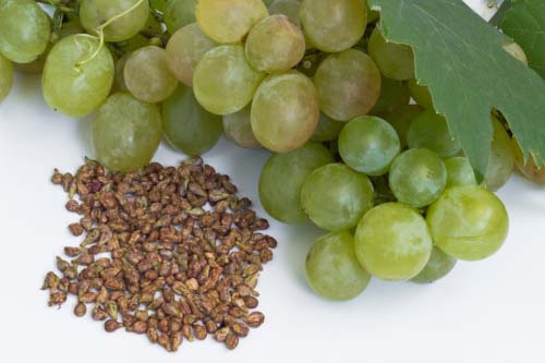Grape Seed Extract 400 мг 90 капсули на добра цена от OstroVit помага за намаляване на холестерола
