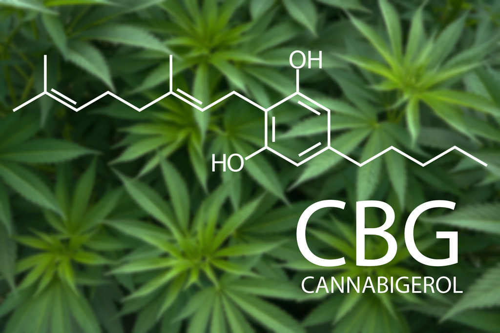 CBG Кристали 97% 500 мг от Pharma Hemp е произведен от растението коноп, като не съдържа THC с присъщия за него опияняващ ефект.