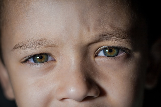 Kids Vision Support 60 дъвчащи таблетки на ниска цена от Swanson подобрява здравето на очите.