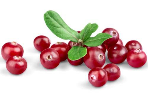 Cranberry Extrakt 10000 мг 90 капсули на супер цена от Vitabay поддържа нормалното състояние на уринарния тракт